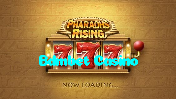 available types of Bdmbet Casino bet including pre-match live express and system bets